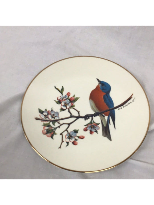 Avon Bluebird North American Songbird Plate - The Kennedy Collective Thrift - 