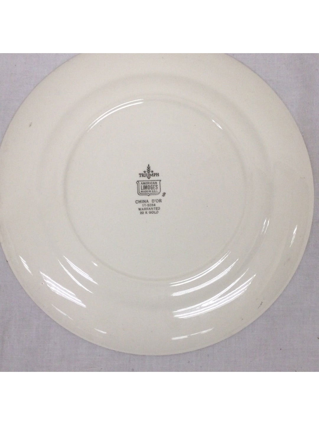 Vintage Triumph Limoges China d'Or Dinner Plate - The Kennedy Collective Thrift - 