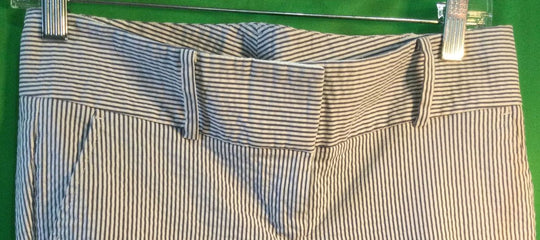 Ann Taylor Blue and White Striped Pants - Size 4P - Ladies